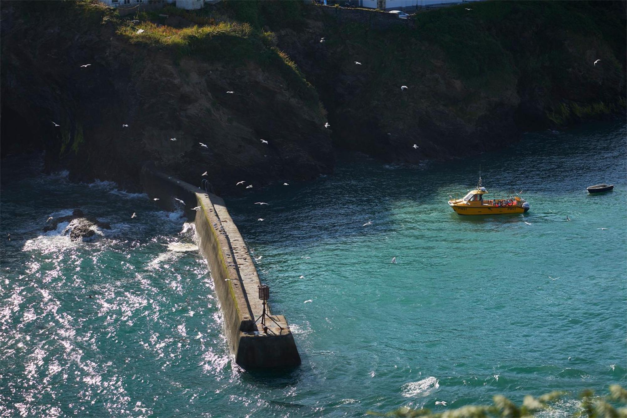 Outlaw'S Guest House Port Isaac Exteriör bild
